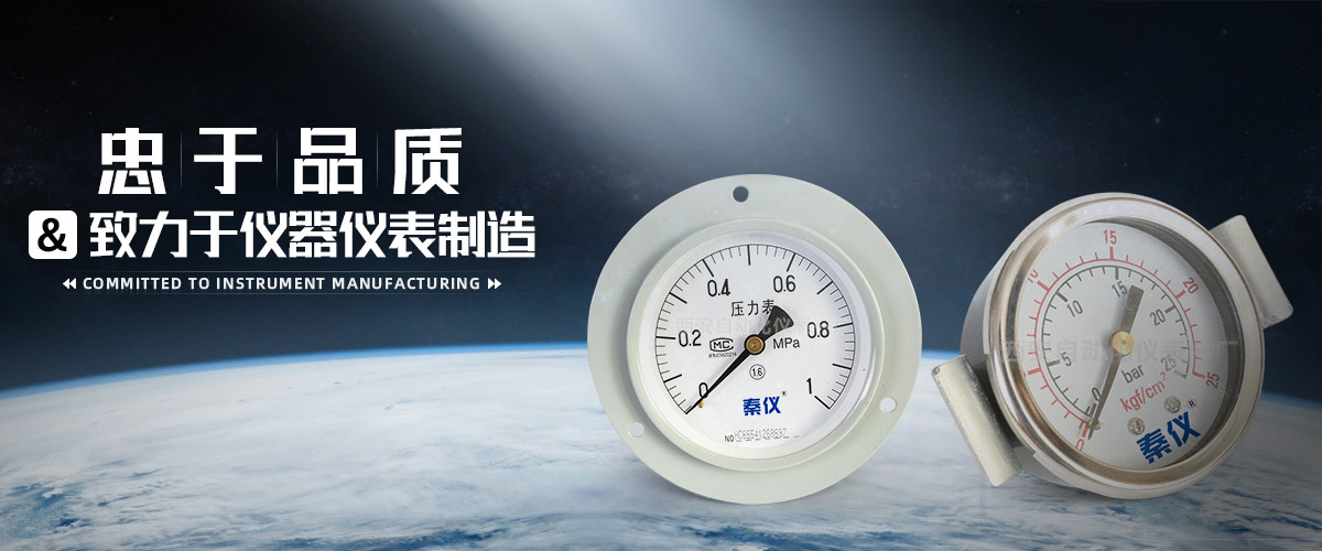 西安自动化仪表一厂