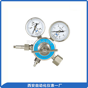 特殊气体减压器